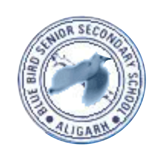 Blue Bird School
